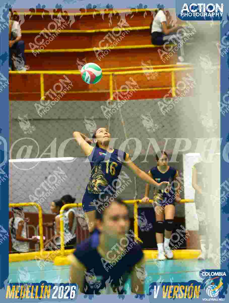 WOLVES Foto 11