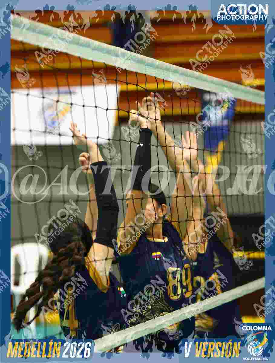 WOLVES Foto 11