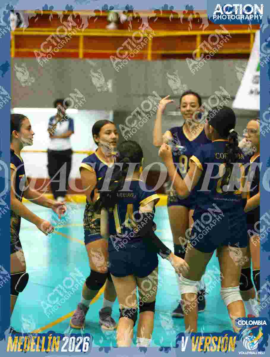 WOLVES Foto 11