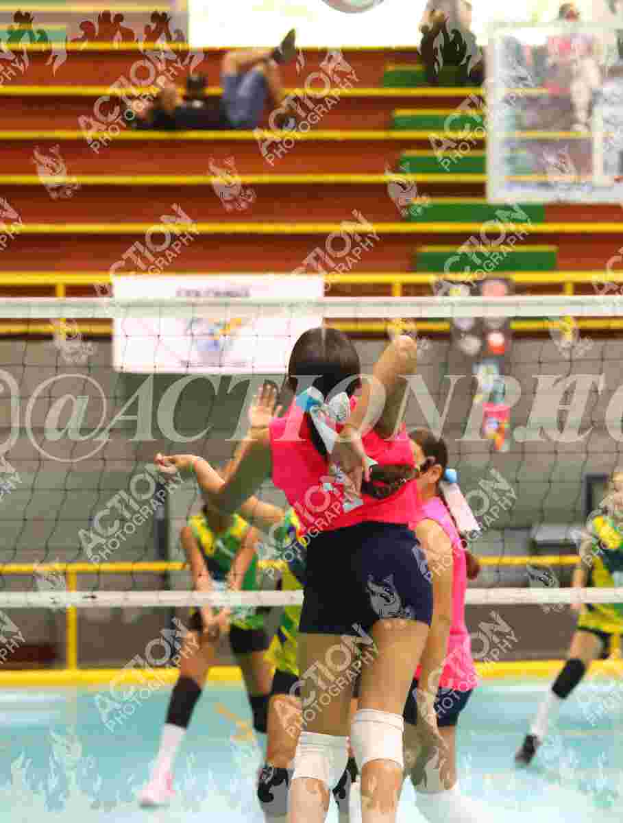 HEREDERAS Foto 11