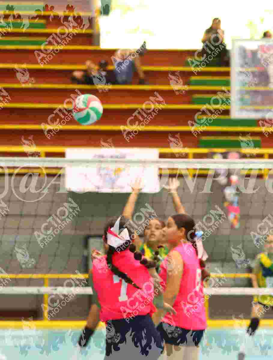 HEREDERAS Foto 11
