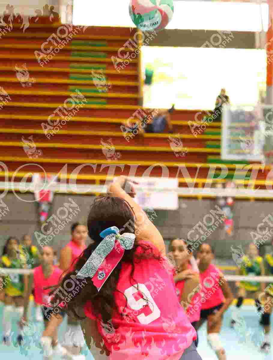 Preview de HEREDERAS