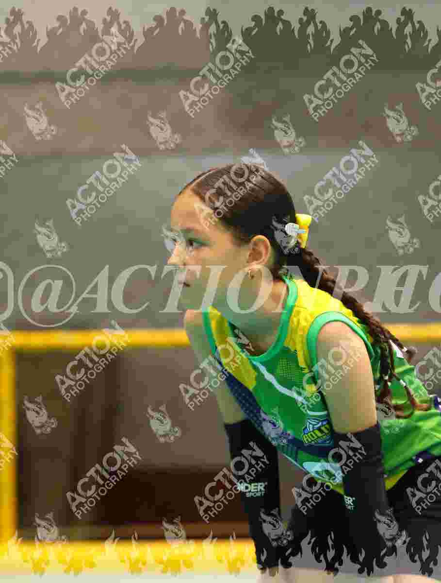 ROLDA VOLEYCLUB ORO Foto 1