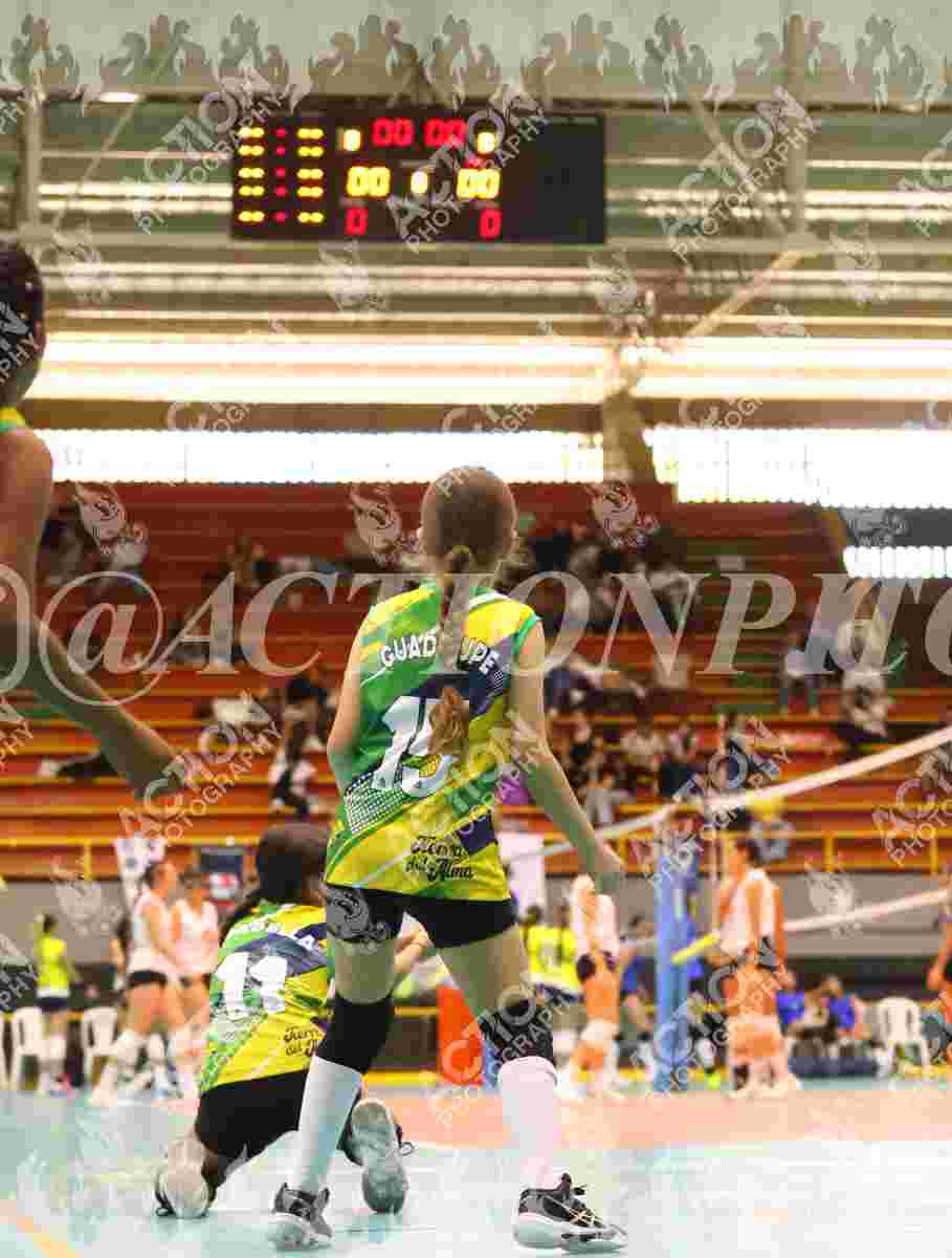 Preview de ROLDA VOLEYCLUB ORO