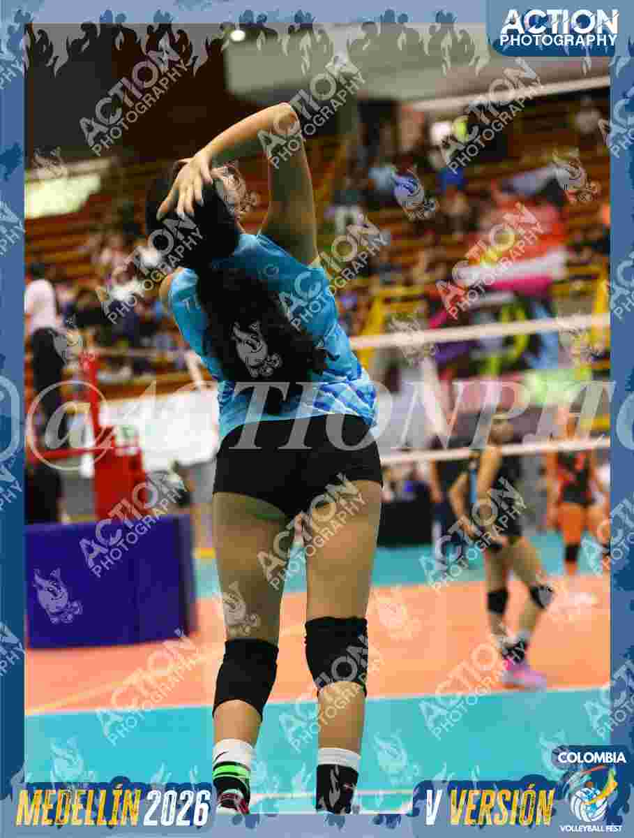 Preview de TEAM EVG 