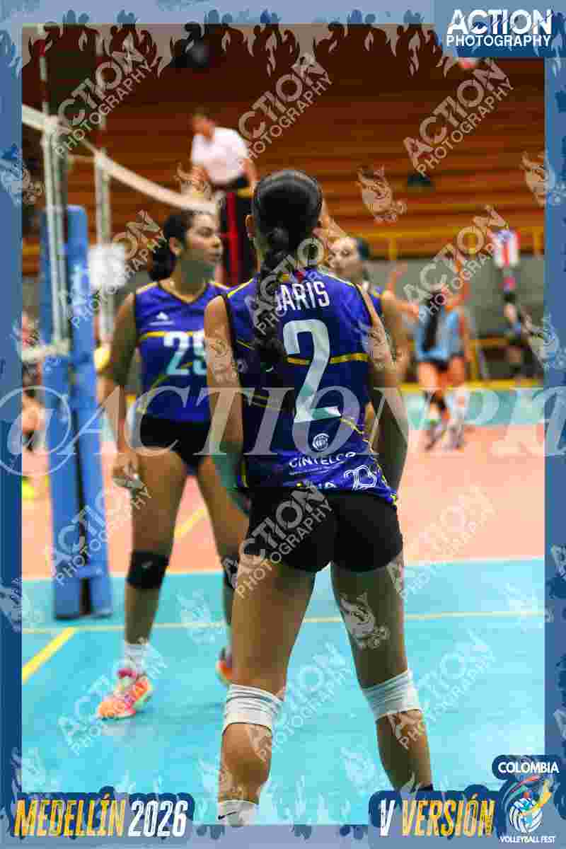 TIGRES F Foto 1