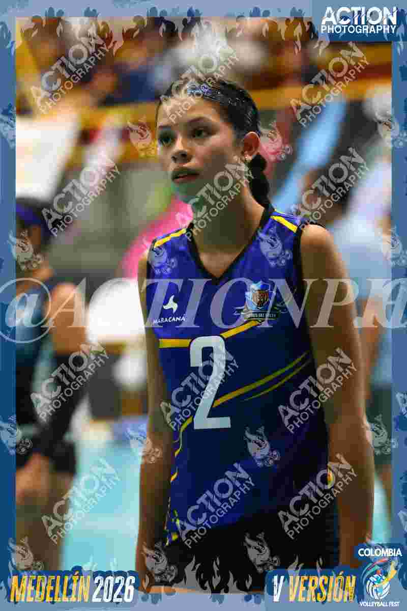 TIGRES F Foto 6