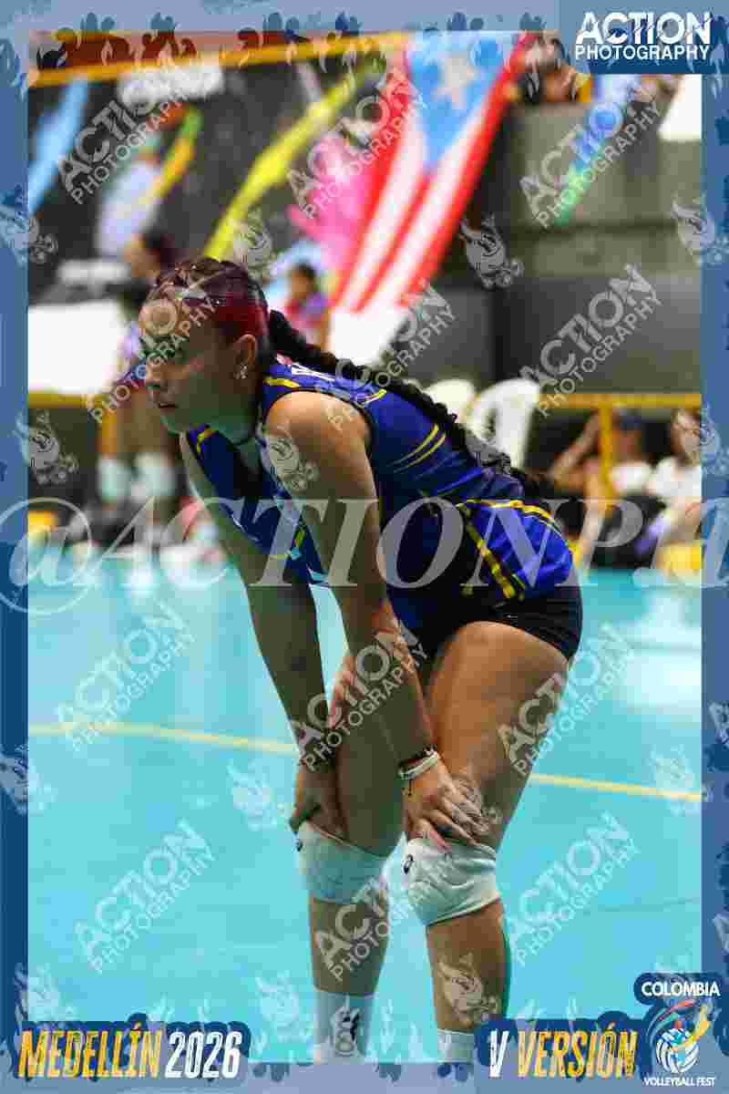 TIGRES F Foto 6