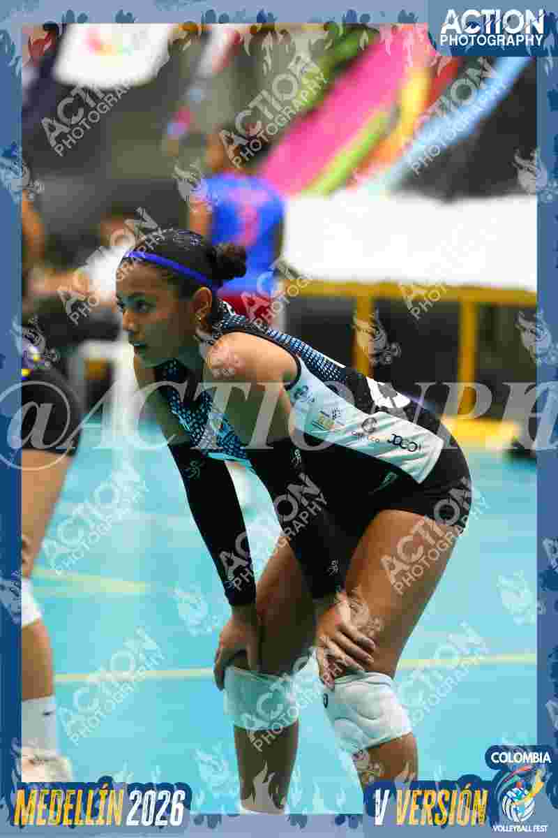 TIGRES F Foto 6
