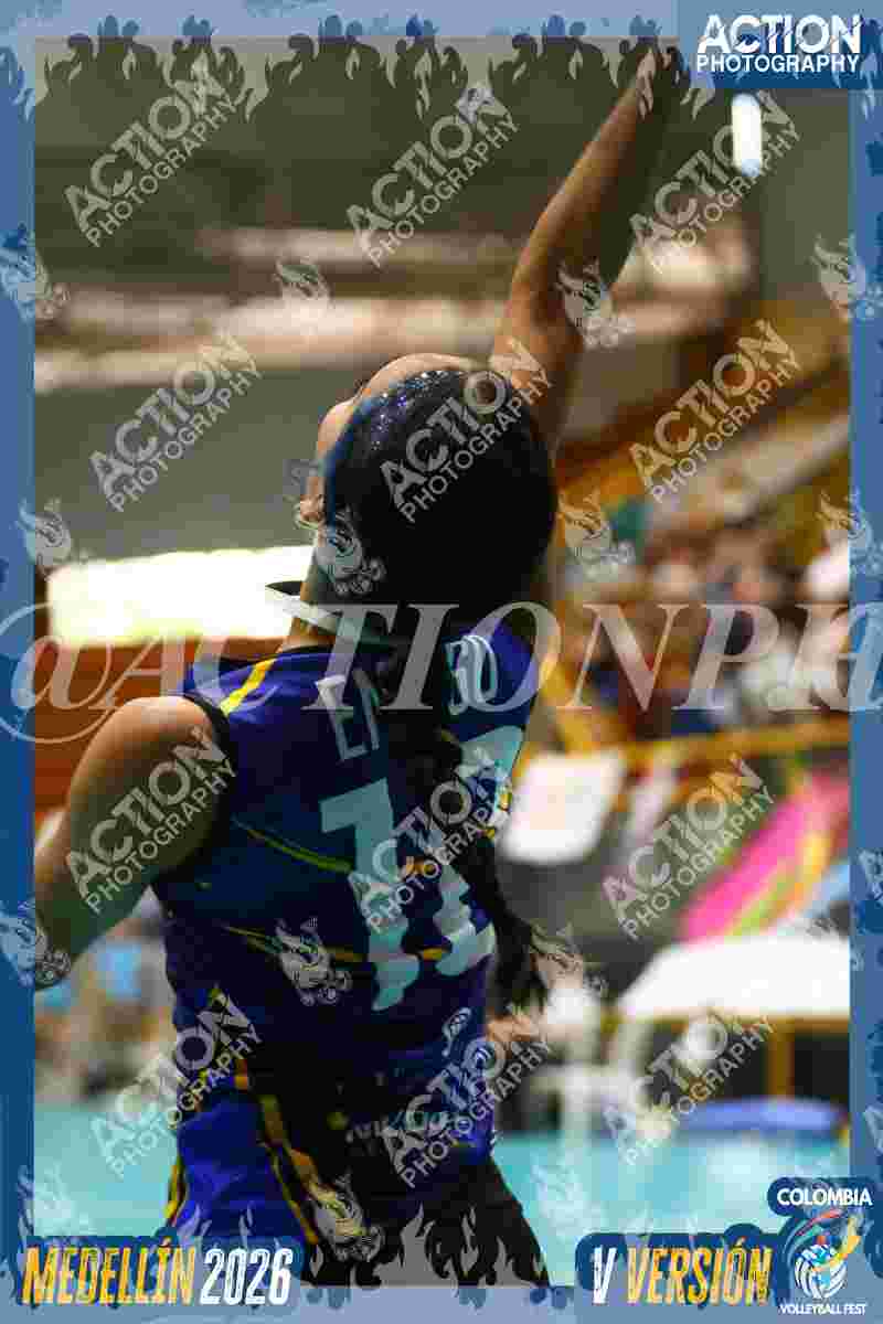 TIGRES F Foto 6