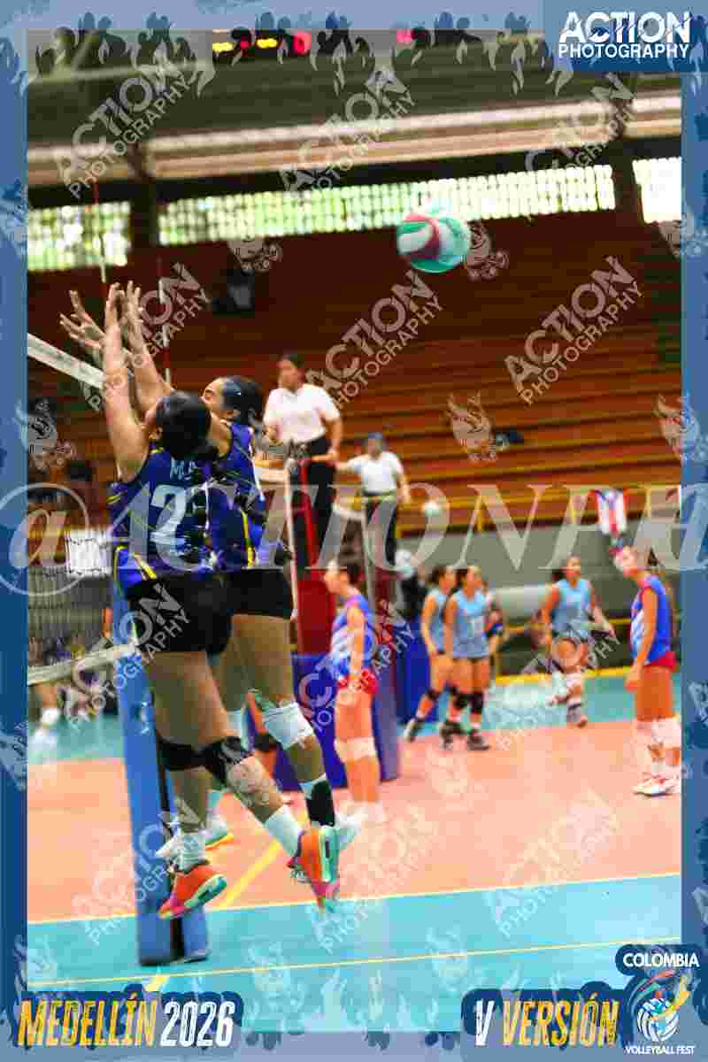 TIGRES F Foto 1