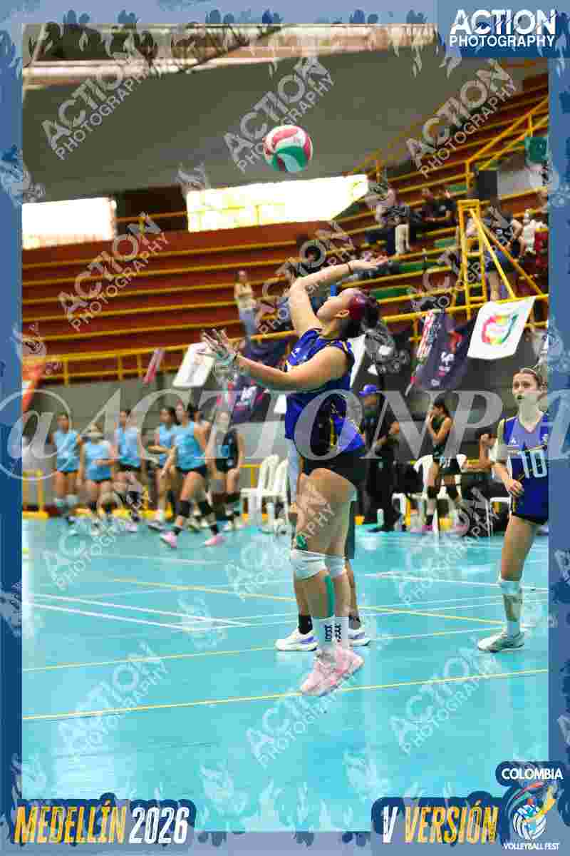 TIGRES F Foto 6