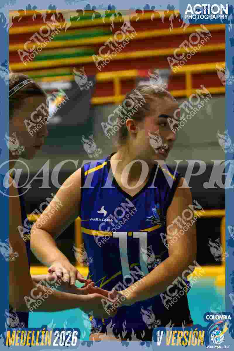 TIGRES F Foto 16