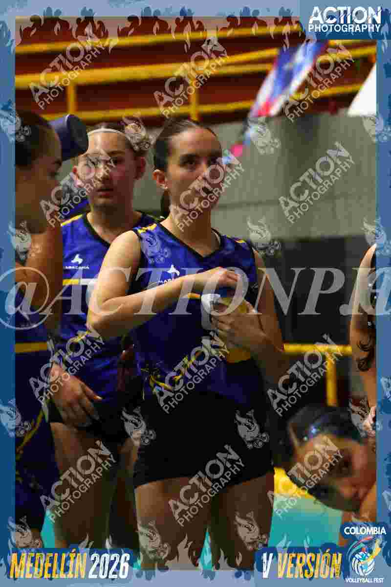TIGRES F Foto 16