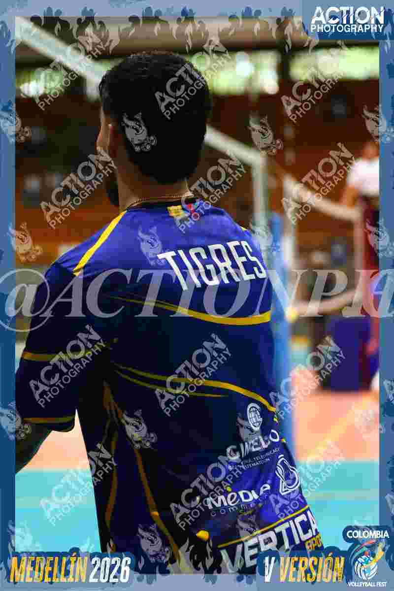 TIGRES F Foto 16