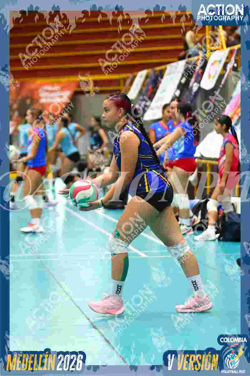 Preview de TIGRES F
