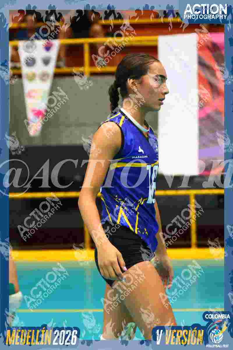 Preview de TIGRES F