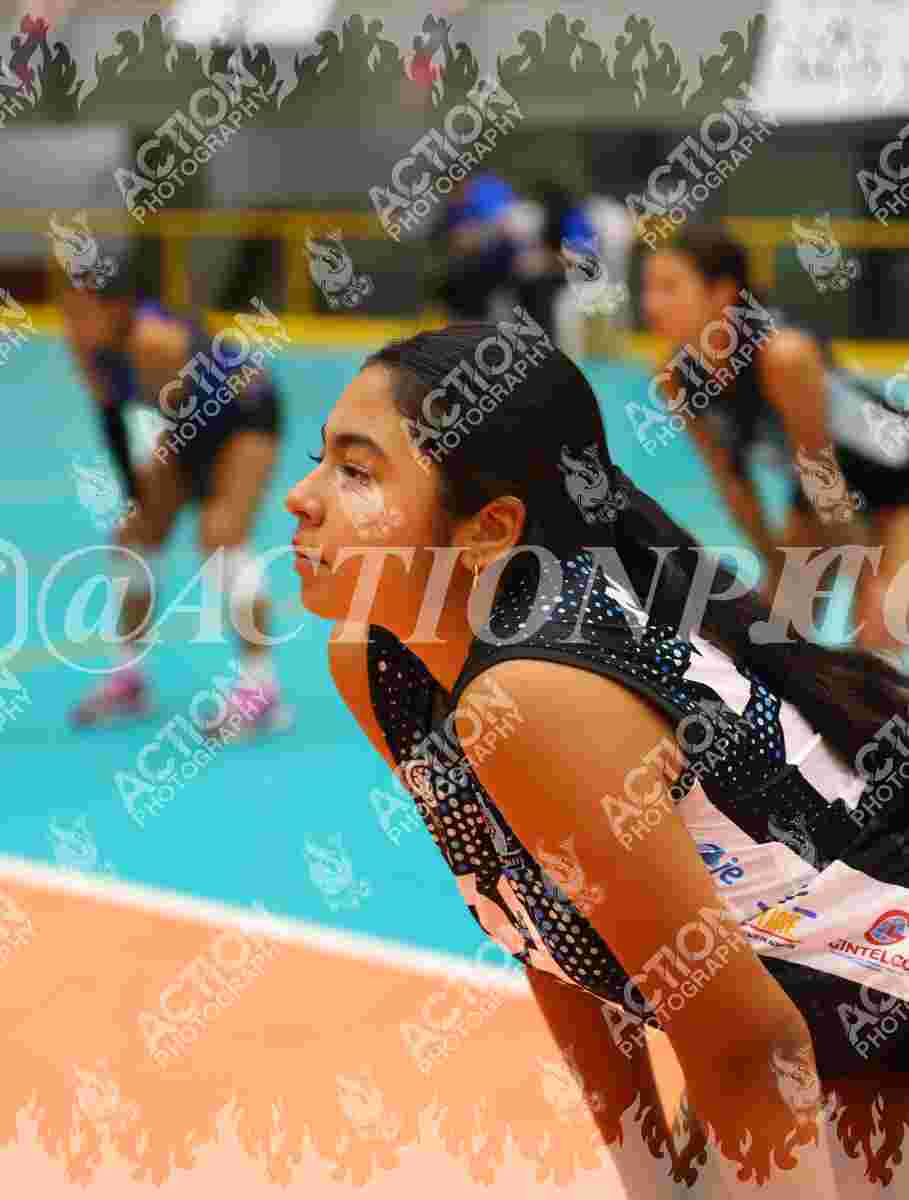 TIGRES F Foto 1