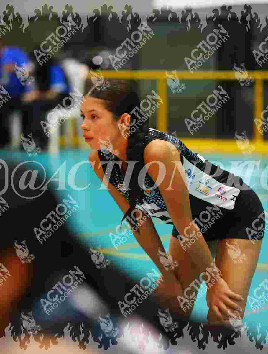 TIGRES F Foto 1