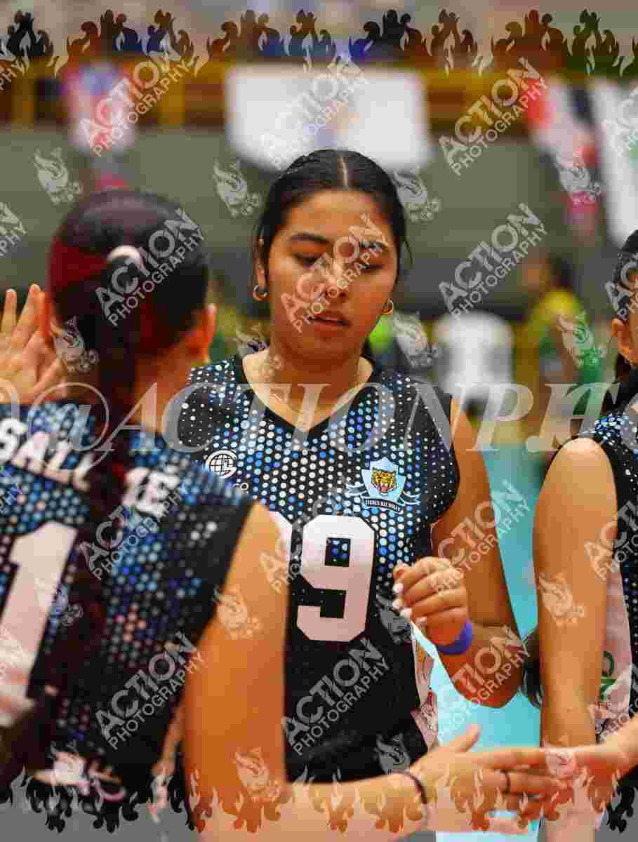 TIGRES F Foto 1