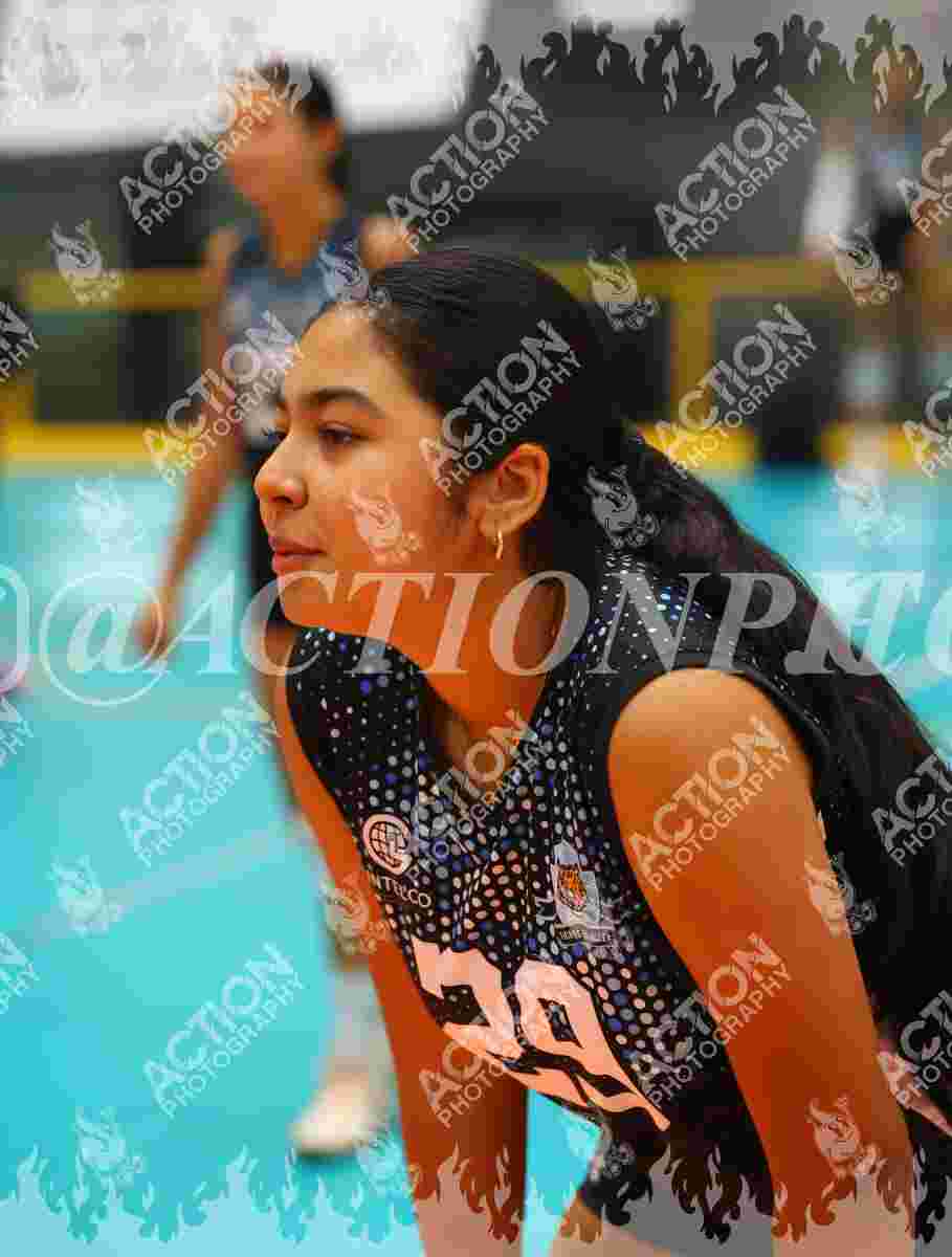 TIGRES F Foto 1