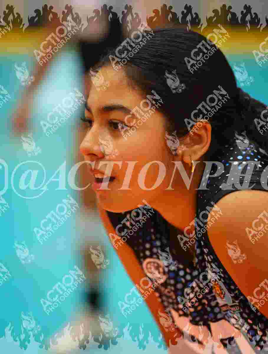 TIGRES F Foto 1