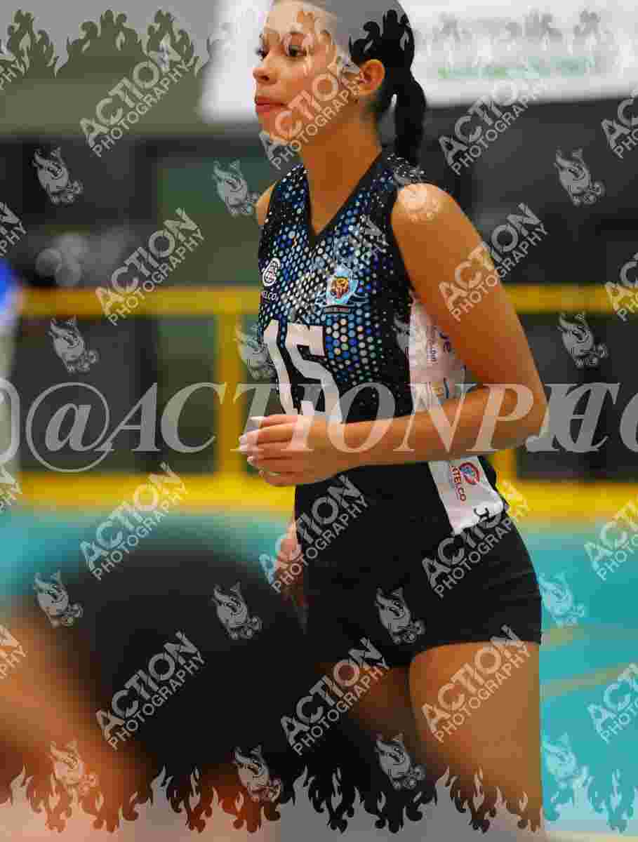 TIGRES F Foto 1