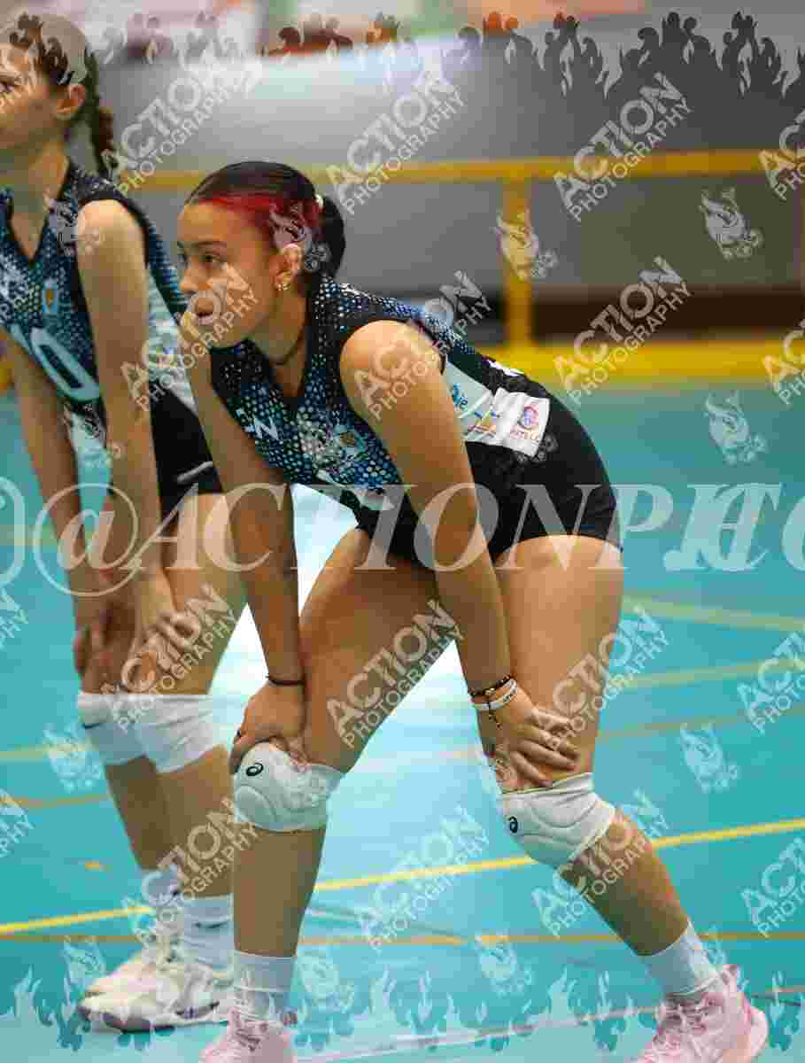TIGRES F Foto 11