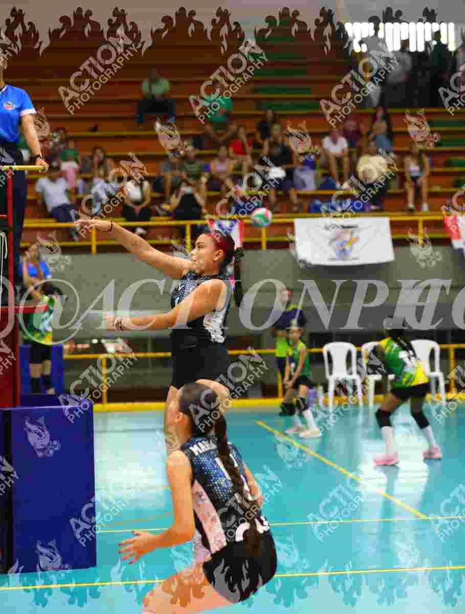 TIGRES F Foto 11