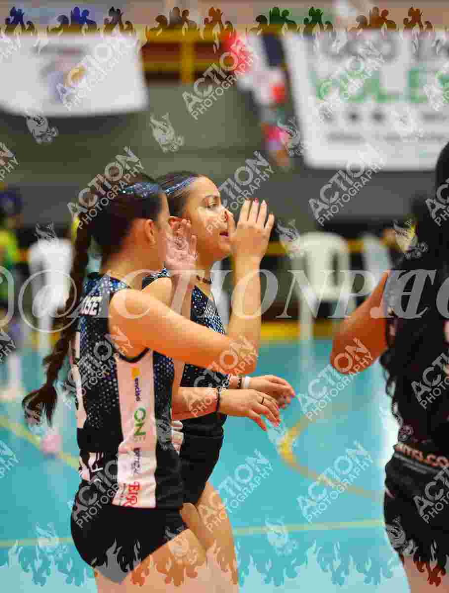 TIGRES F Foto 1