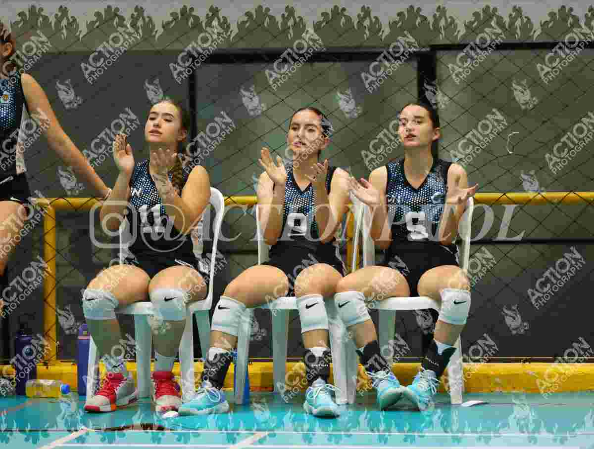 TIGRES F Foto 1