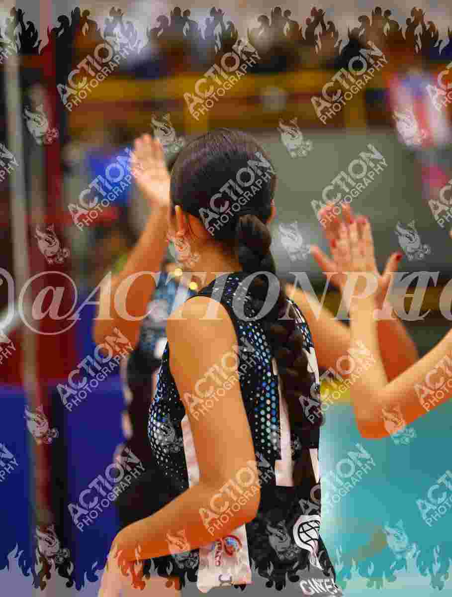 TIGRES F Foto 11