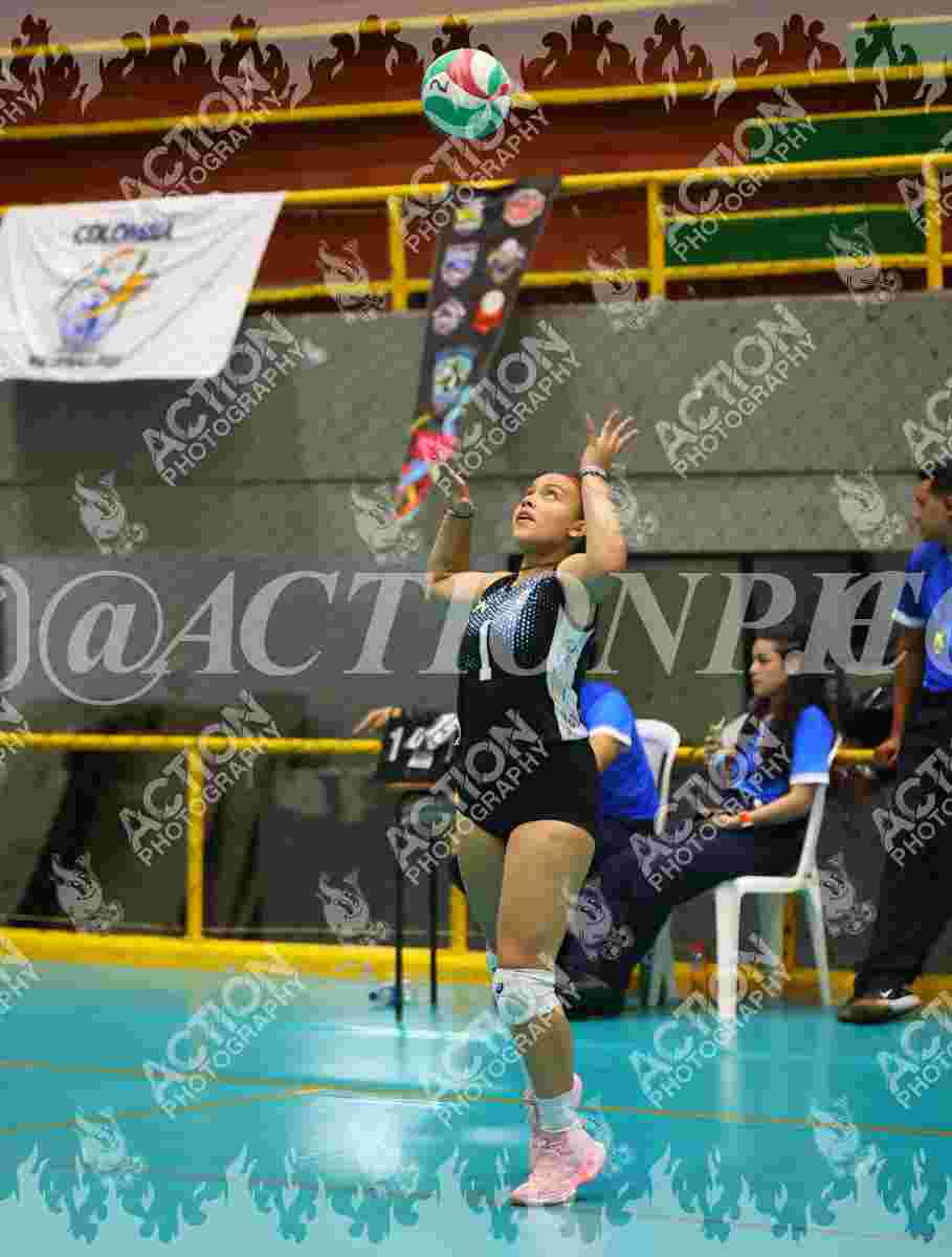 TIGRES F Foto 11