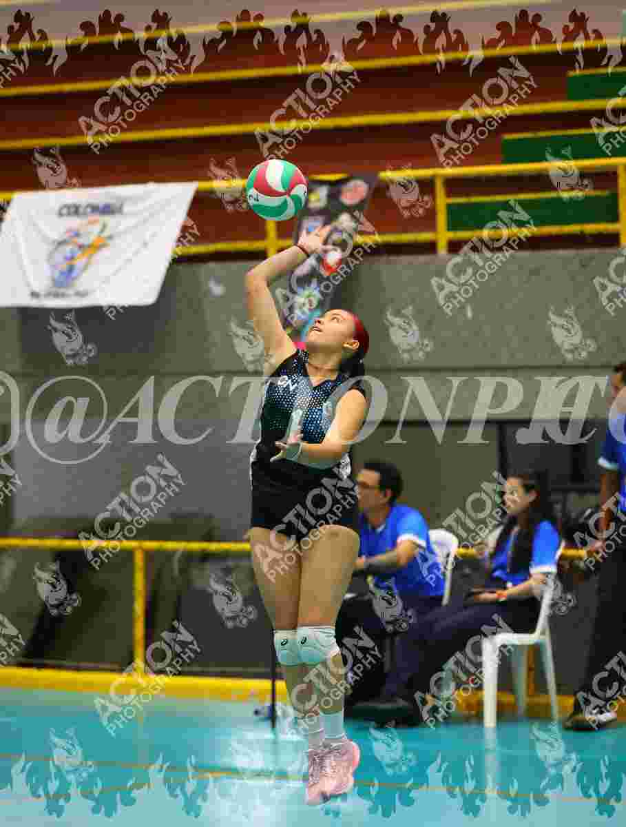 TIGRES F Foto 11
