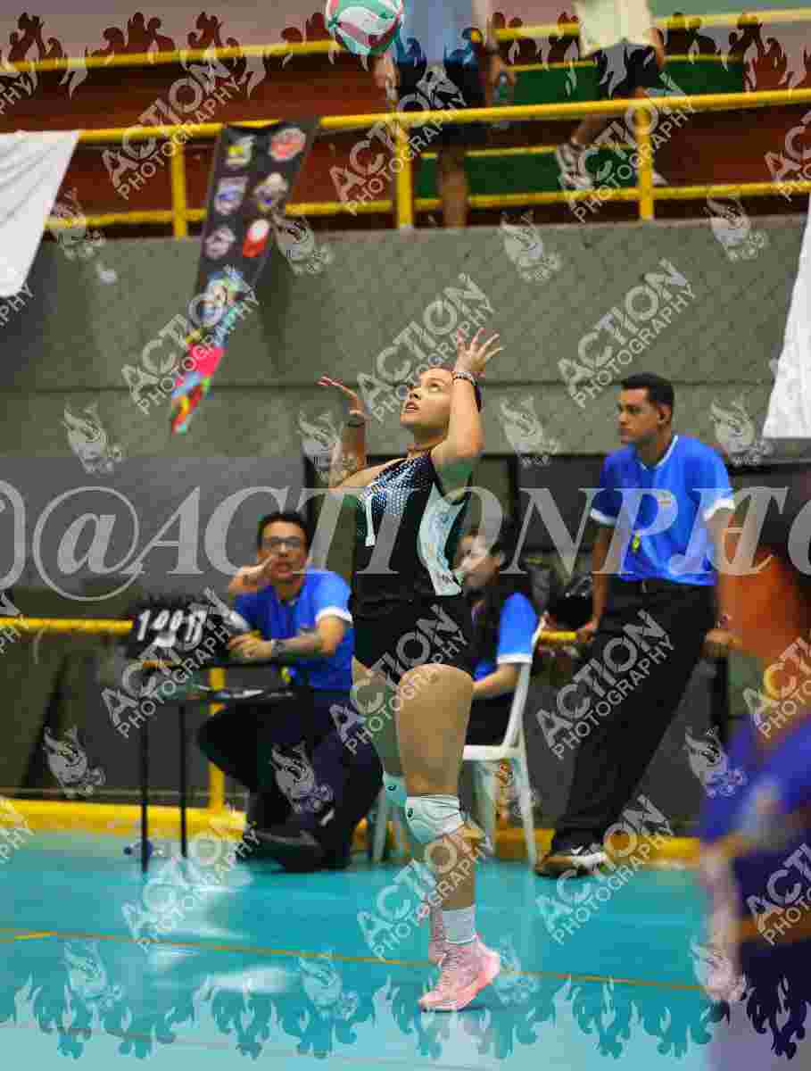 TIGRES F Foto 11