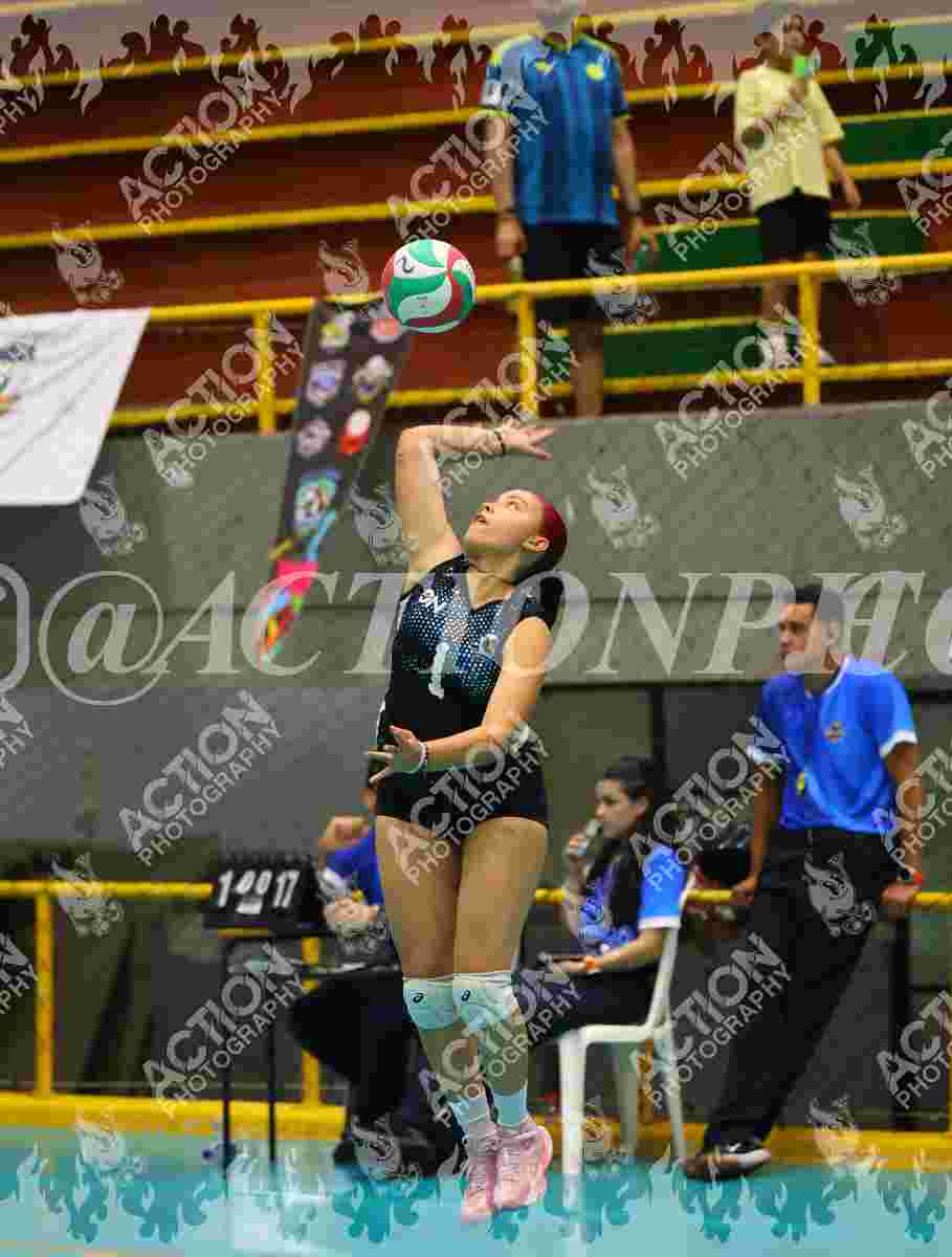TIGRES F Foto 11