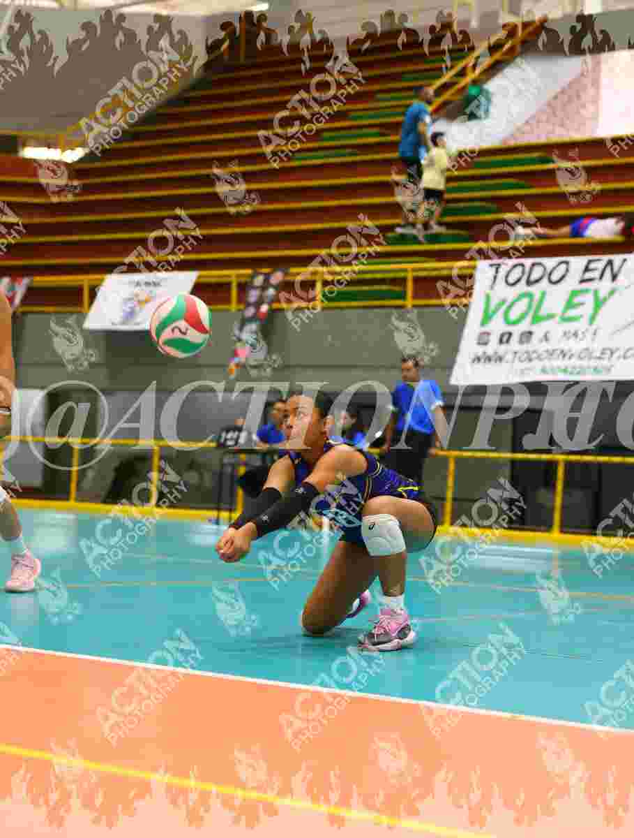 TIGRES F Foto 11