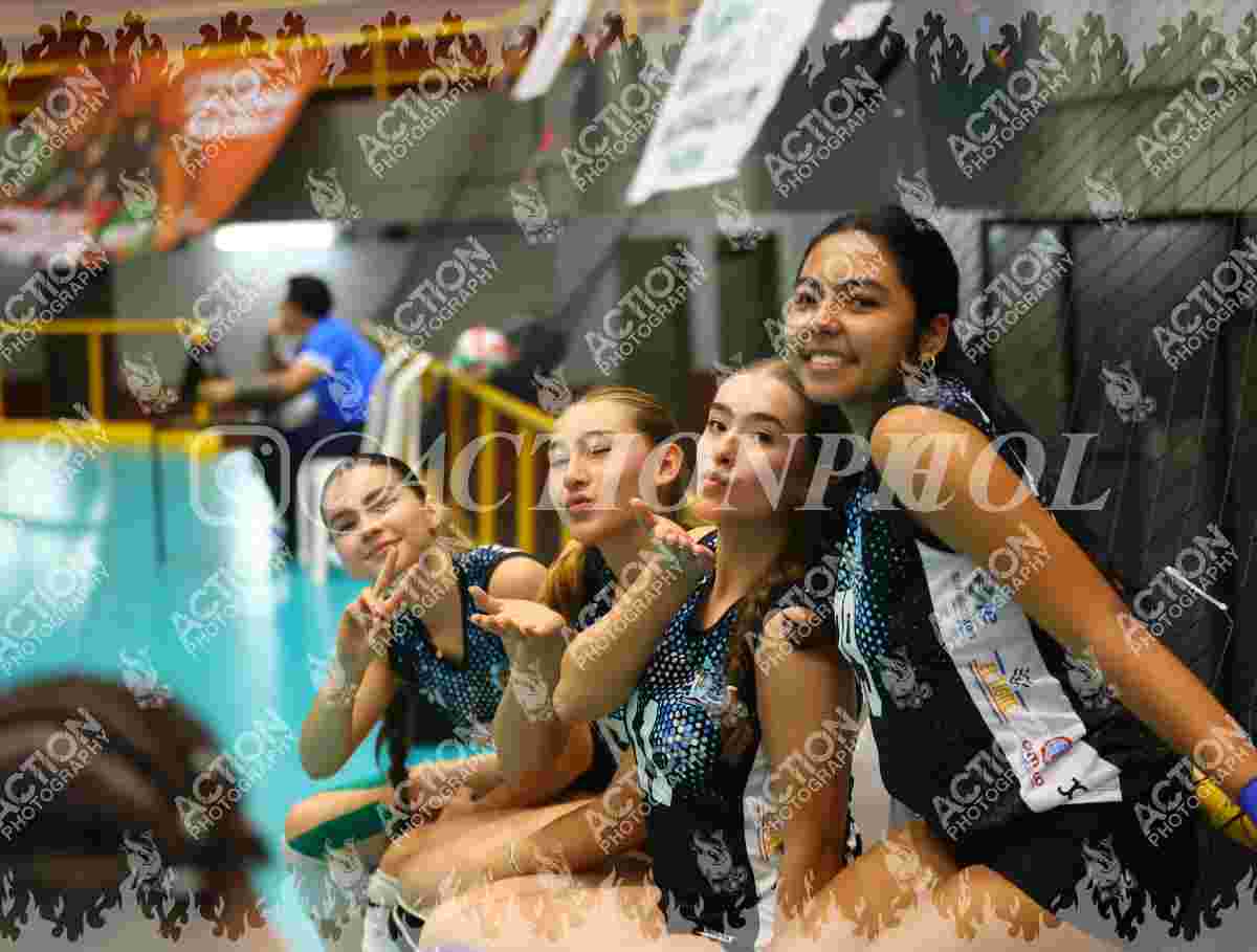 Preview de TIGRES F