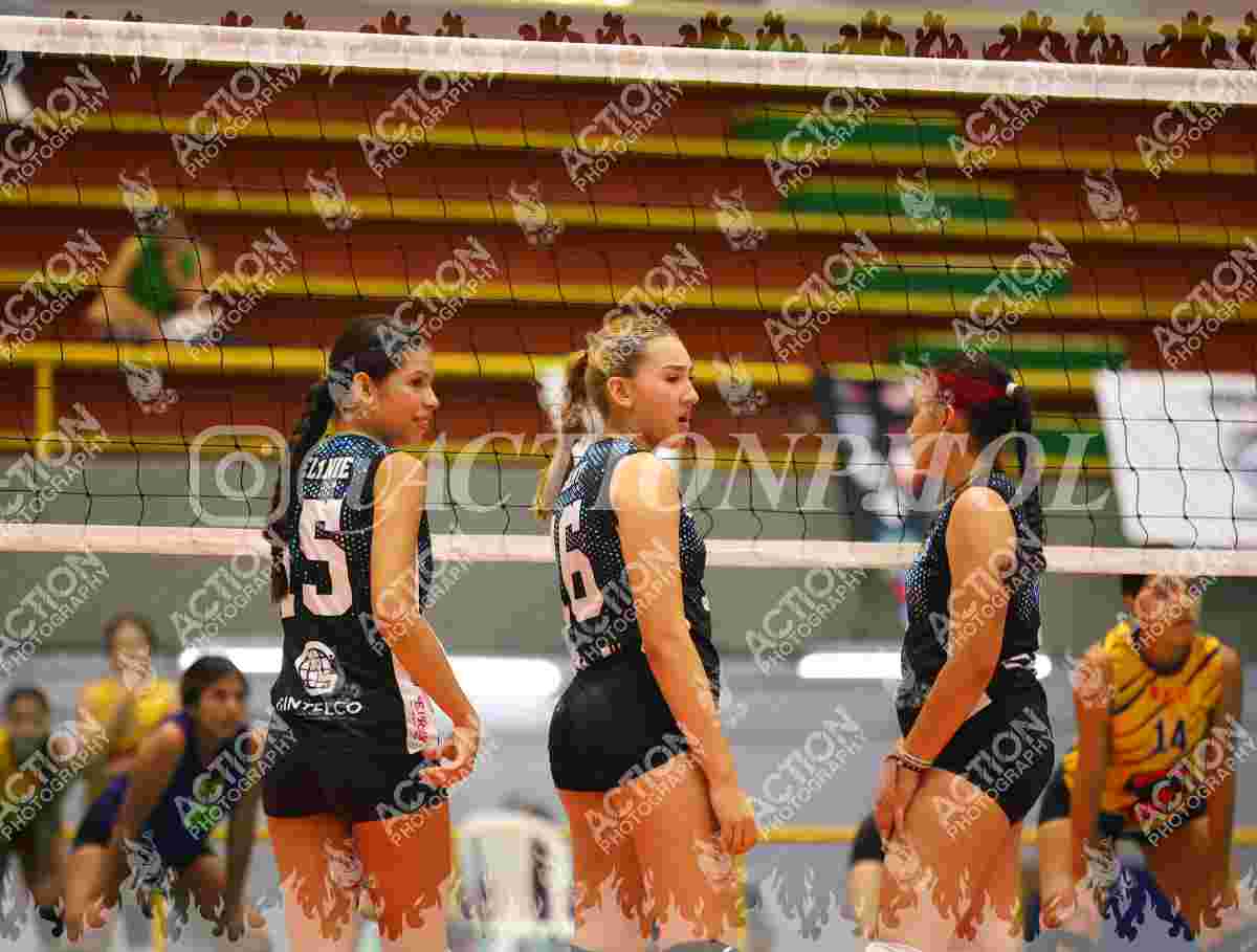 TIGRES F Foto 11