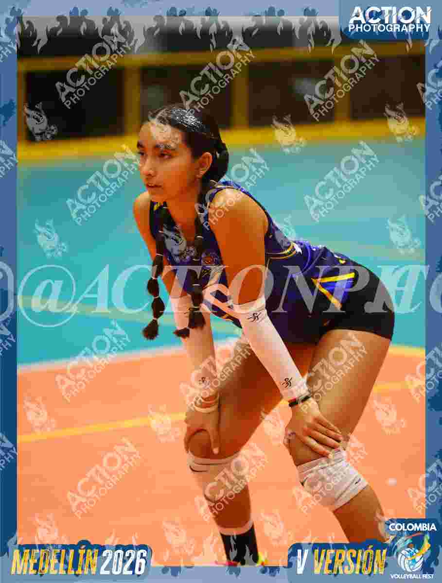 TIGRES S Foto 1