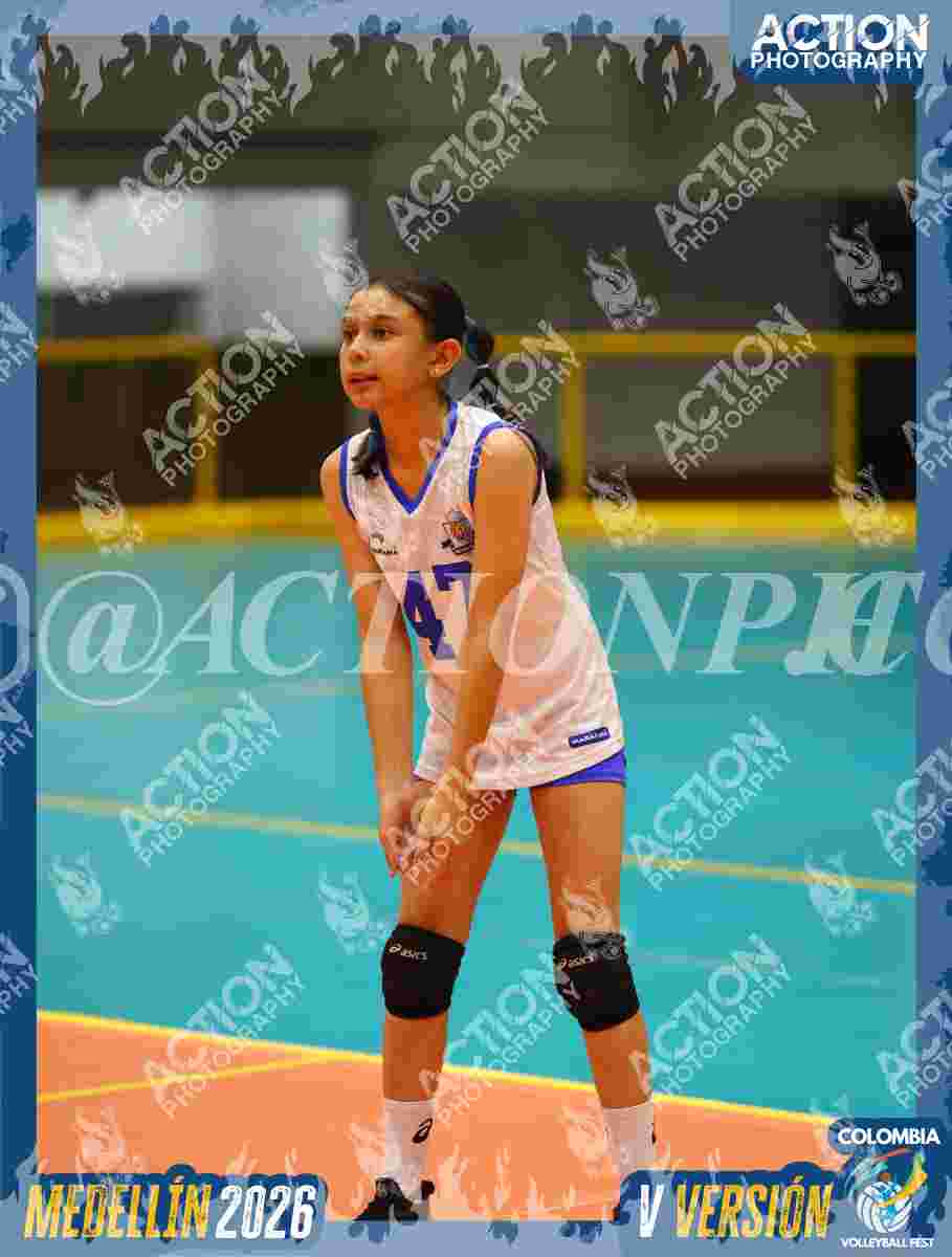 TIGRES S Foto 1