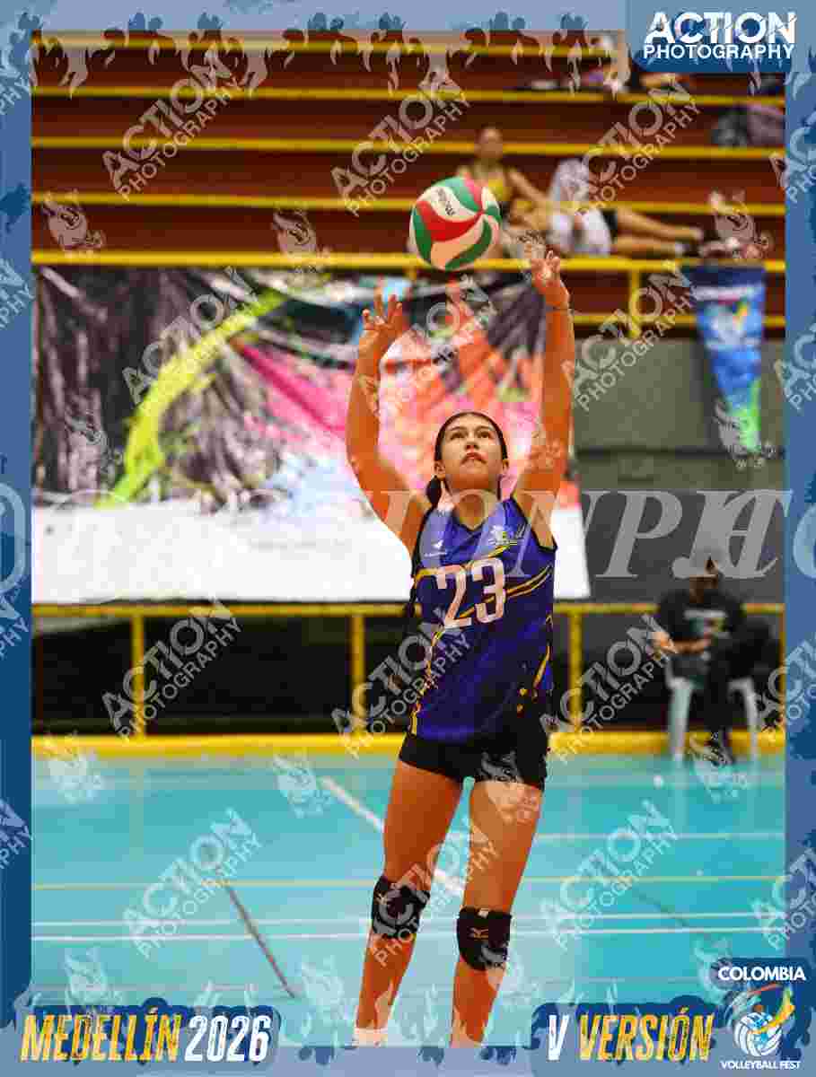 TIGRES S Foto 1