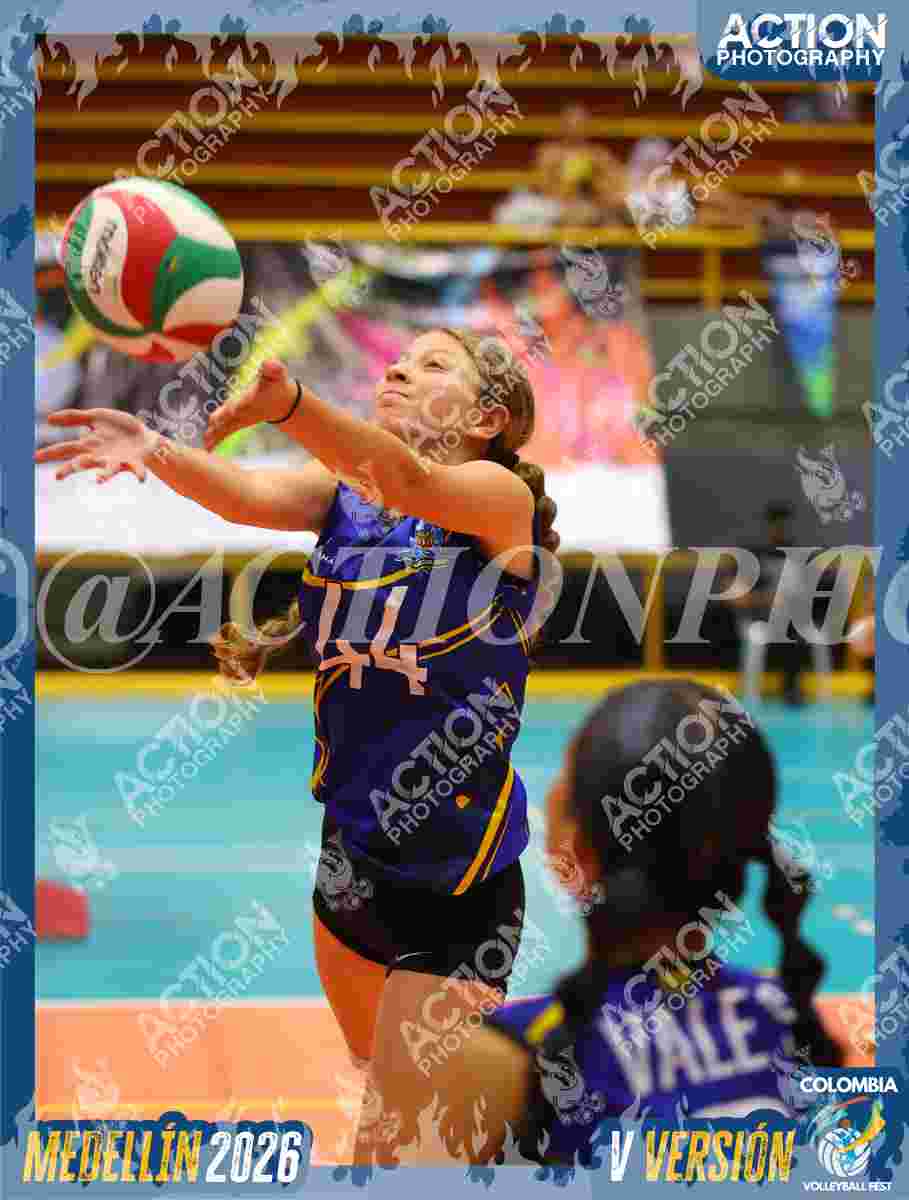 TIGRES S Foto 1