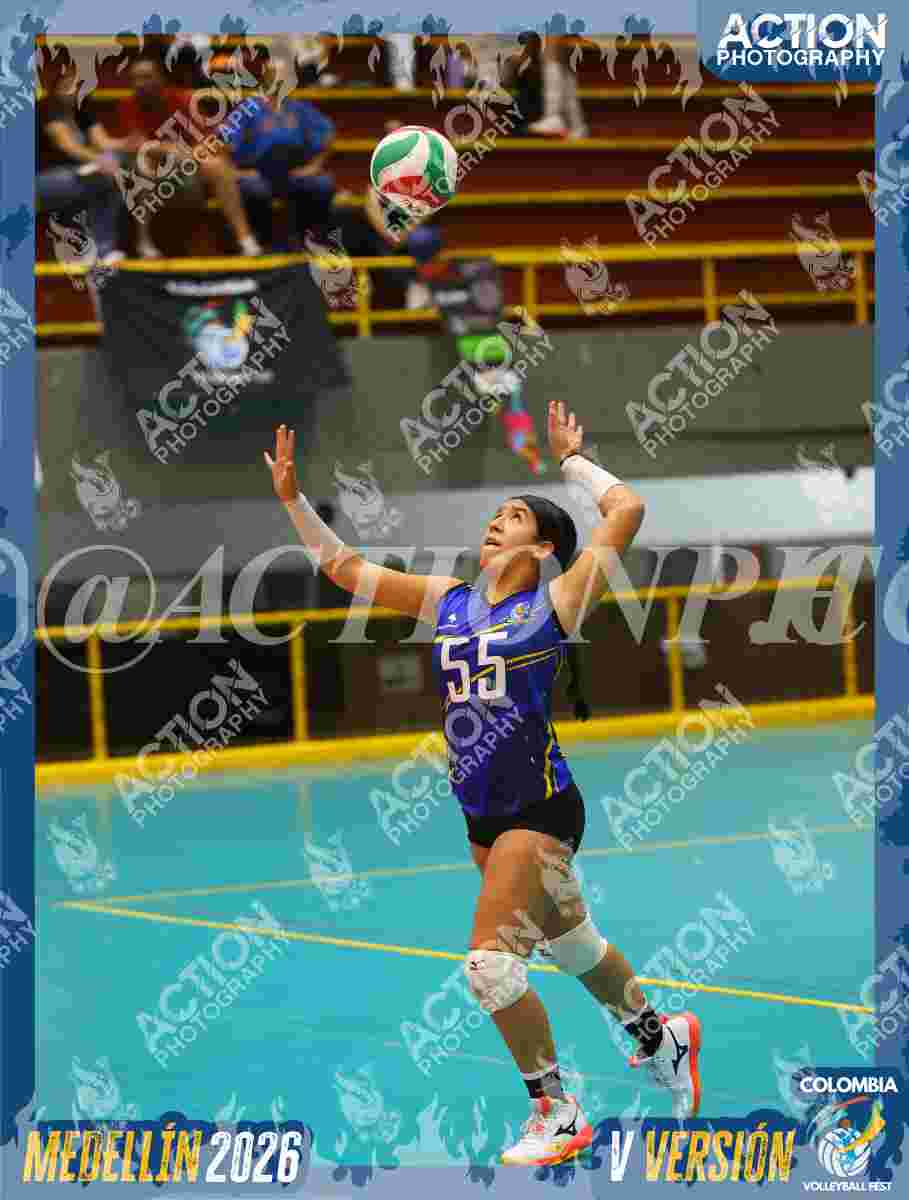 TIGRES S Foto 11