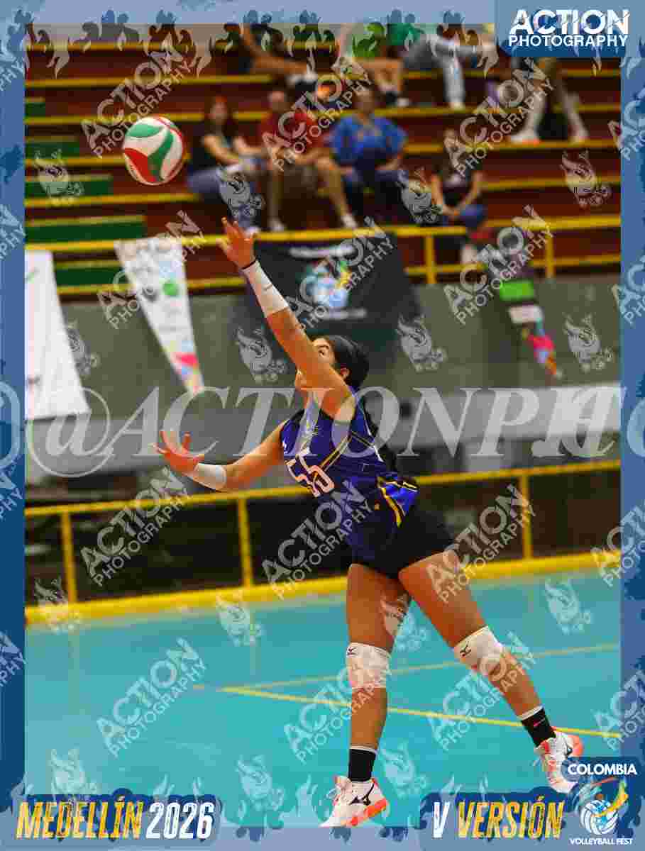 TIGRES S Foto 11