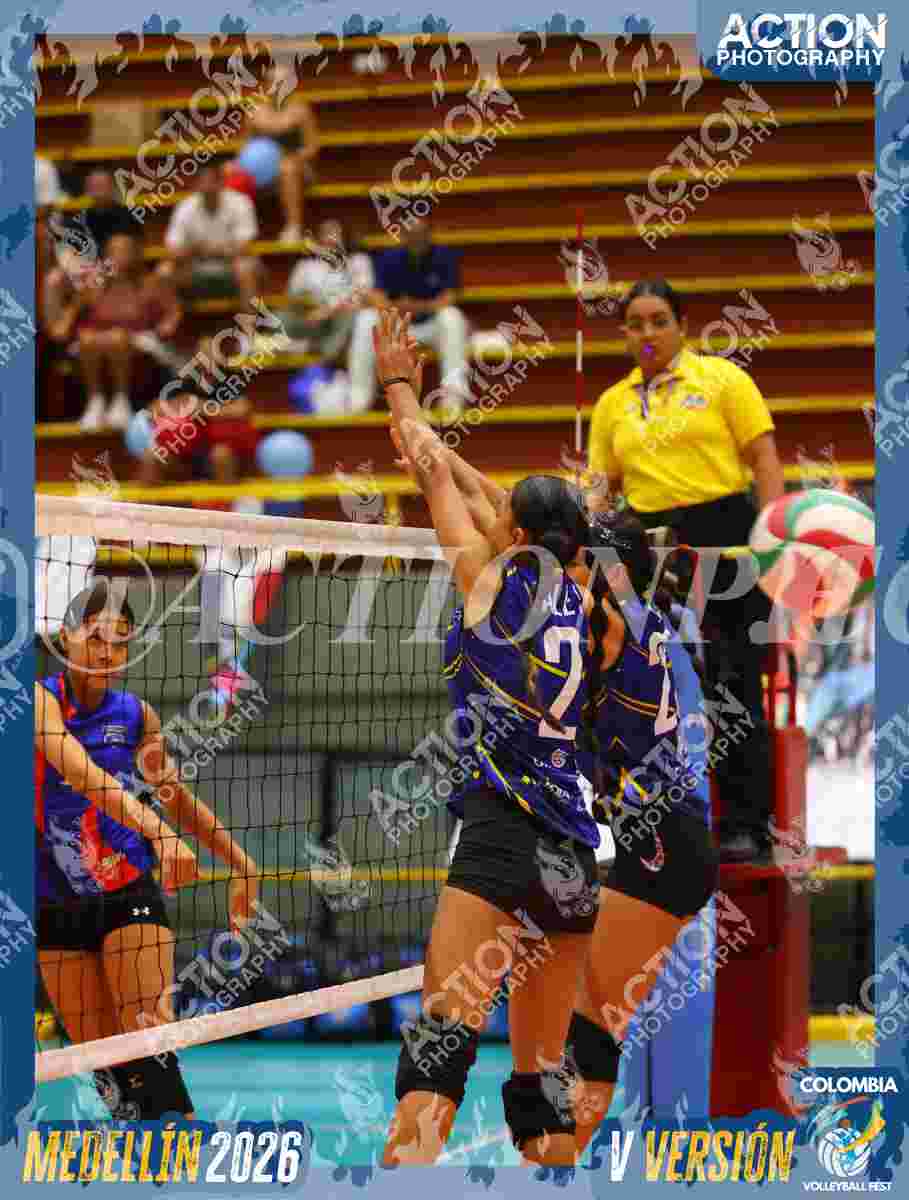 TIGRES S Foto 11