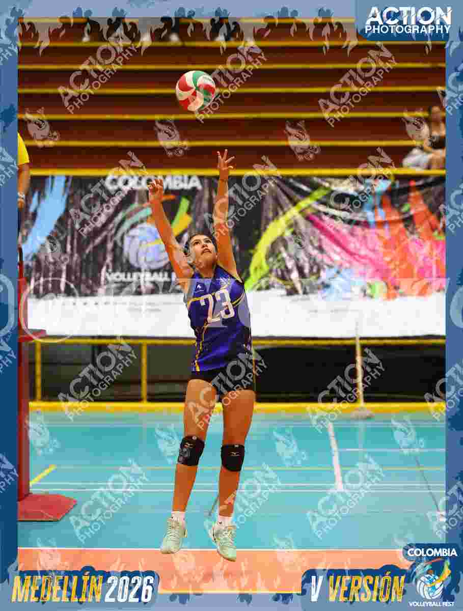 TIGRES S Foto 11