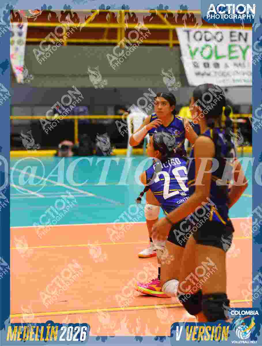 TIGRES S Foto 11