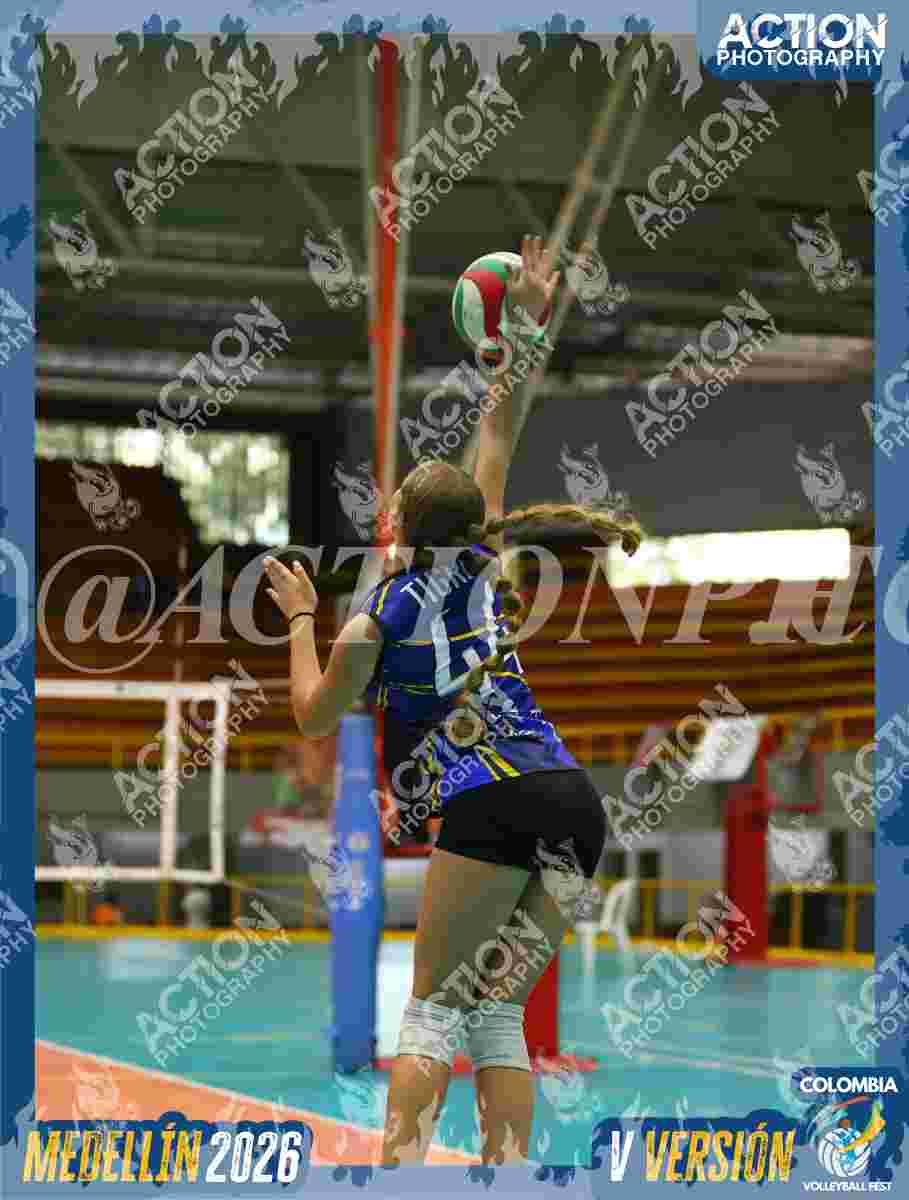 Preview de TIGRES S