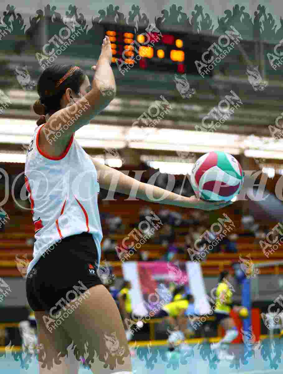 VP VOLEIBOL PEREIRA Foto 1